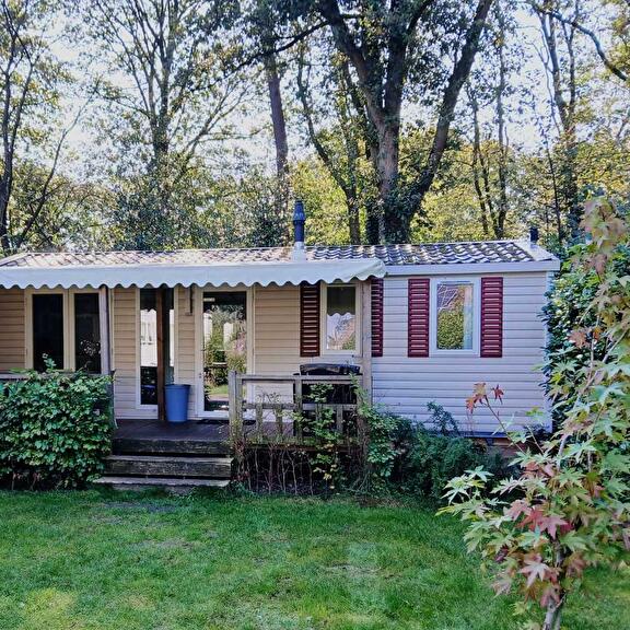 Genieten van de natuur in ons knusse Chalet de Staartmees