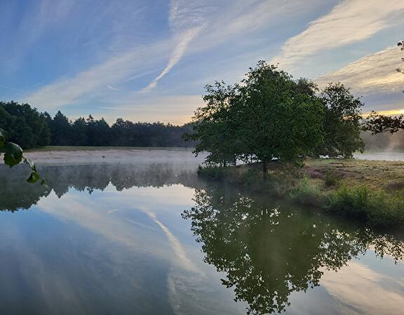 Ontdek de groene omgeving van onze camping in Diffelen
